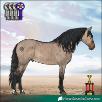 Horse Color:Brown Dun Brindle 