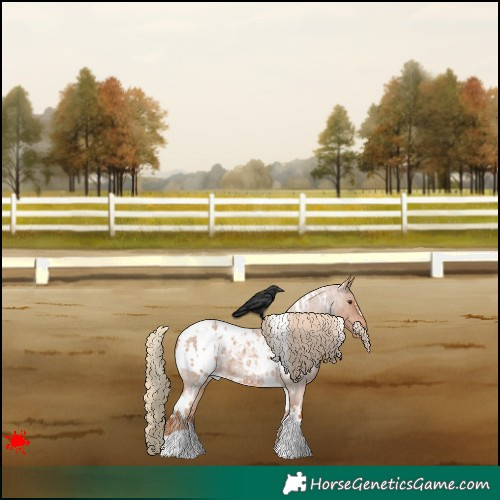 Horse Color:White Spotted Red Roan Appaloosa 