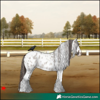 Horse Color:Brown Roan Dun Tobiano Near Leopard 