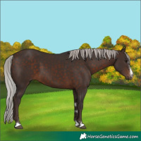 Horse Color:Silver Brown 