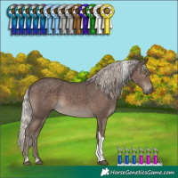 Horse Color:Silver Black Tobiano 