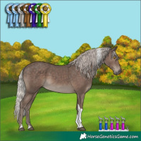 Horse Color:Silver Black Tobiano 