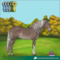 Horse Color:Silver Black Tobiano 