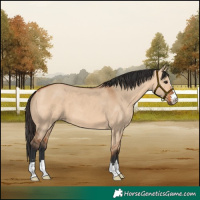 Horse Color:Bay Dun 
