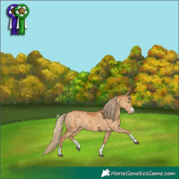 Horse Color:Red Dun Rabicano Brindle 