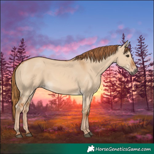Horse Color:Red Dun 
