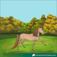 Horse Color:Red Dun Brindle 
