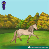 Horse Color:Red Dun Brindle 