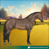 Horse Color:Brown Dun