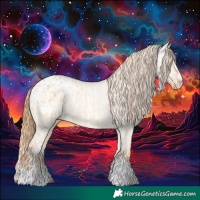 Horse Color:Red Dun Appaloosa  and Red Dun Appaloosa 