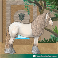 Horse Color:Red Dun Appaloosa  and Red Dun Appaloosa 