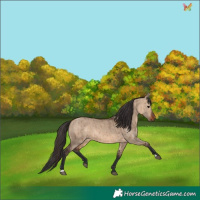 Horse Color:Brown Dun Brindle 