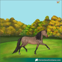 Horse Color:Brown Dun Brindle 