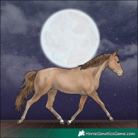 Horse Color:Black Pearl 