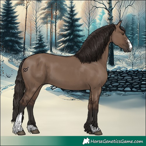 Horse Color:Liver Red Dun Sabino