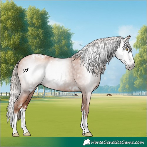 Horse Color:Gray White Spotted Gold Champagne Splash 