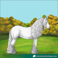 Horse Color:Gray Bay