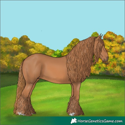 Horse Color:Chestnut 