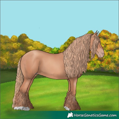 Horse Color:Gold Champagne 