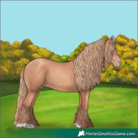 Horse Color:Gold Champagne