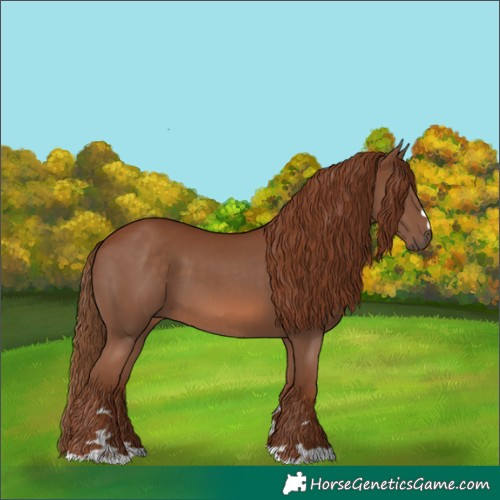 Horse Color:Chestnut 