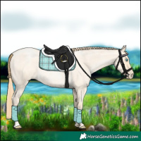 Horse Color:Buckskin Roan Pearl and Buckskin Roan Pearl