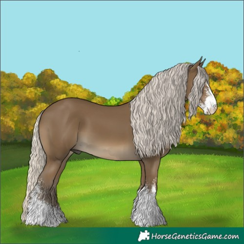 Horse Color:Silver Smoky Black Sabino 