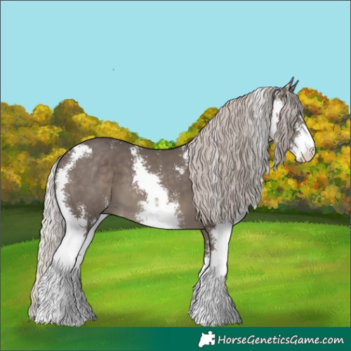 Horse Color:Silver Black Sabino 