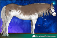 Horse Color:White Spotted Silver Brown Dun