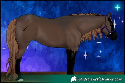 Horse Color:Void Liver Chestnut Splash 