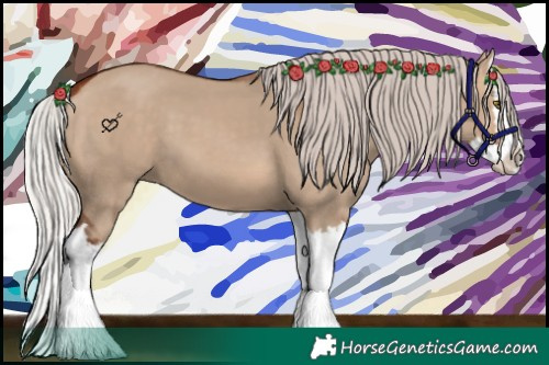 Horse Color:Silver Bay Dun Splash