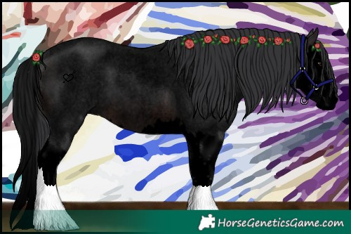 Horse Color:Void Brown Roan Splash