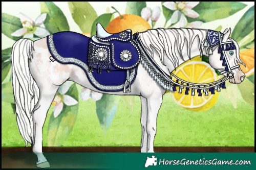 Horse Color:Silver Sable Champagne Pearl Splash Appaloosa Rabicano