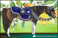Horse Color:Buckskin Tobiano 