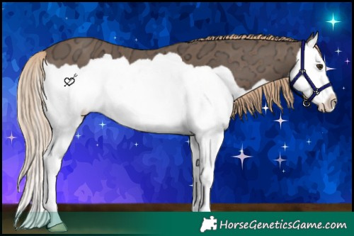 Horse Color:Chocolate Palomino Ice Splash