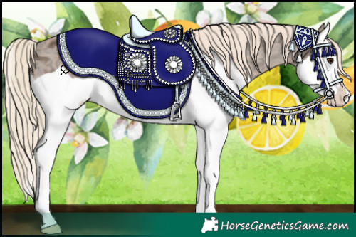 Horse Color:Chocolate Palomino Ice Splash Appaloosa 