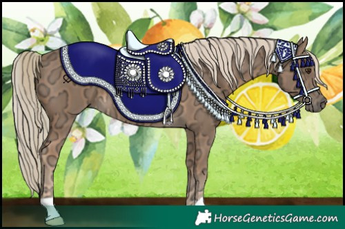 Horse Color:Chocolate Palomino Ice