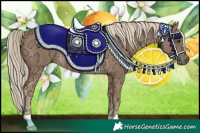 Horse Color:Chocolate Palomino Ice