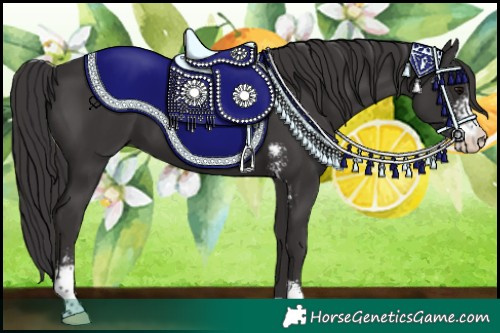 Horse Color:Smoky Black Sabino 