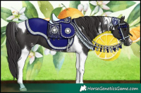 Horse Color:Smoky Black Sabino Tobiano