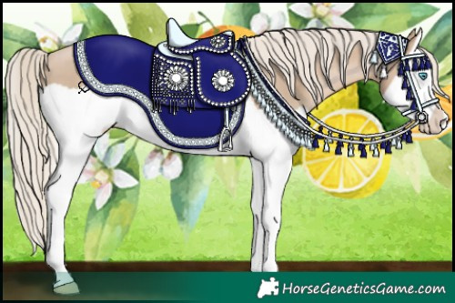 Horse Color:Chocolate Palomino Pearl Splash