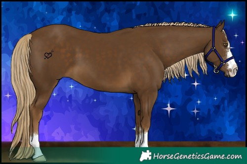 Horse Color:Chocolate Palomino 