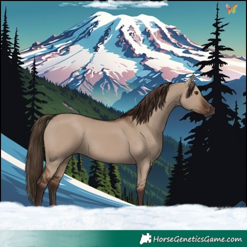 Horse Color:Liver Red Dun 