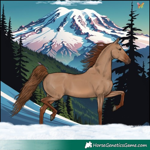 Horse Color:Red Dun