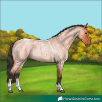 Horse Color:Bay Roan Tobiano 
