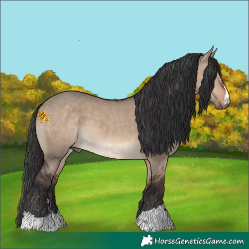 Horse Color:Brown Dun 