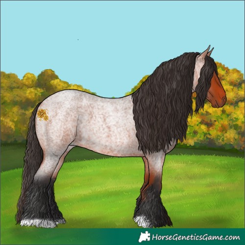 Horse Color:Bay Roan 