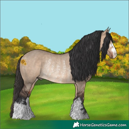 Horse Color:Bay Dun Rabicano 