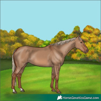 Horse Color:Red Dun 