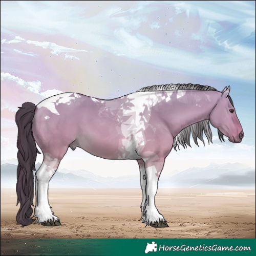 Horse Color:Buckskin Dun Tobiano 